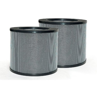 Nispira True HEPA Filter Replacement Compatible with TaoTronics TT-AP006 Air Purifier, 3 in 1 Remove Smoke, Dust, Pollen. 2 Pack