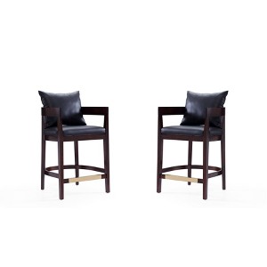 Set of 2 Ritz Upholstered Beech Wood Counter Height Barstools - Manhattan Comfort - 1 of 4