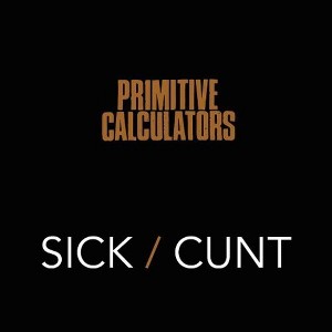 Primitive Calculators - Sick Ct (Vinyl) - 1 of 1