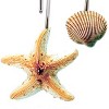 Carnation Home Fashions "Scuba Jewels" Resin Shower Curtain Hooks - Multi 1.5x1.5" - 2 of 3