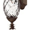 Hinkley Plantation 14" Pineapple Glass Copper Bronze Outdoor Light - 2 of 2