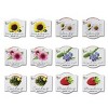 Buzzy Seeds 12pk Sunflower Daisy Coneflower Cactus Forget-Me-Not Strawberry Classic Mini Grow Pots Flower Kits - 2 of 4