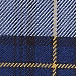 classic navy plaid