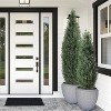 Set of 2 Potted, Faux Cedar Trees - Lifelike UV-Protected Topiary for Front Door Decor, Porch, Garden, and Entryway - Indoor/Outdoor - 3 of 4