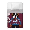 Sleep Squad Colorado Avalanche Bernie 60 x 80 Raschel Plush Blanket - 4 of 4