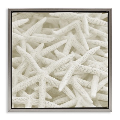Stupell Industries Nautical White Starfish Photography, 25" x 25"