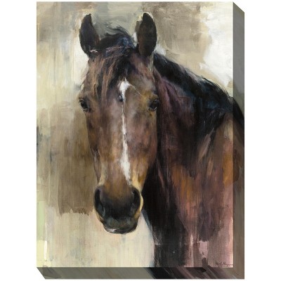 Cottage Garden West of The Wind Handsome Brown, Tan 30 x 40 Inch Waterproof Gallery Wrapped Canvas, Outdoor Garden, Yard, Patio All Weather Hanging