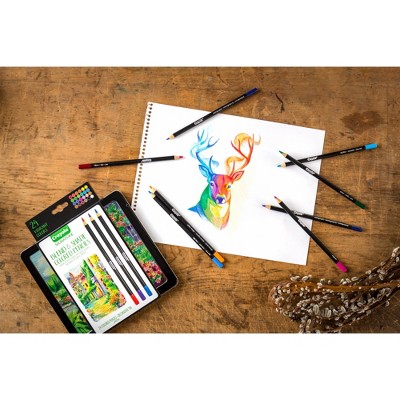 Crayola Signature Colored Pencils 24ct