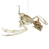 Pterosaur Skeleton Plastic Hanging Halloween Decoration, 35 1/4 x 11 3/4 - 4 of 4