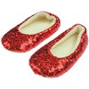 The Wizard of Oz Girls Dorothy Costume Pajama Gown with Fleece Lined Ruby Slippers - image 3 of 3