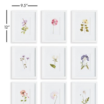 White Framed Petite Mountain Flower Prints Set of 9