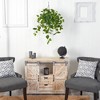 Nearly Natural 2.5-ft Philodendron Artificial Plant in Hanging Basket - 4 of 4