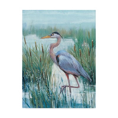 Tim Otoole Marsh Heron II Light Blue and Green Canvas Art