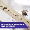 STEM Ant-Roach-Spider Insect Killer Bug Spray - 10oz - 2 of 4