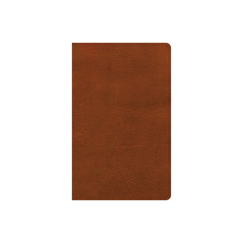 NASB Single-Column Personal Size Bible, Burnt Sienna Leathertouch - by Holman Bible Publishers (Leather Bound)