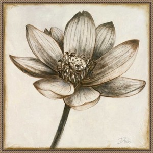 Amanti Art Sepia Lotus Blossom II by Patricia Pinto Canvas Wall Art Print Framed 22 x 22-in. - 1 of 4