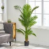 Gulches 150 Centimeter Artificial Palm Tree Mess Free Tropical Atmosphere Natural Looking Indoor Outdoor Home Decor - 3 of 4
