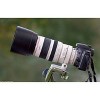Canon EF 100-400mm f/4.5-5.6L IS USM Lens - 3 of 4