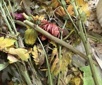 Guest review image 1 of 3, zoom in