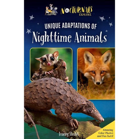 The Nocturnals Explore Unique Adaptations Of Nighttime Animals - By Tracey  Hecht : Target