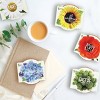 Buzzy Seeds 12pk Poppy Sunflower Daisy Forget-Me-Not Cactus Daydream Mini Grow Pots Flower Kits - 4 of 4