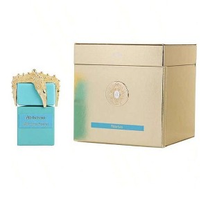 Tiziana Terenzi Abbrivio by Tiziana Terenzi Men Extrait de Parfum Spray (Unisex) 3.4 oz - 1 of 1