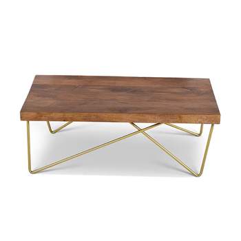 Walter Cocktail Table Mango Wood Top with Brass Inlay - Steve Silver