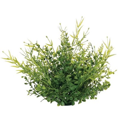 Sullivans Spanish Fern Tarragon Orb Decorative Filler 7"H Green