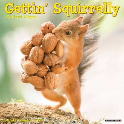 2022 Wall Calendar Gettin' Squirrelly - Willow Creek Press