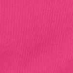 raspberry sorbet