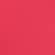 pink-pinkcarnation