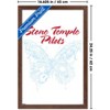Trends International Stone Temple Pilots - Butterfly Framed Wall Poster Prints - 3 of 4