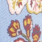 begonia fields