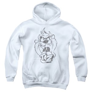 Boys’ Looney Tunes Faded Taz Hooded Sweatshirt - 1 of 4