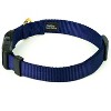 Country Brook Petz Deluxe Nylon Dog Collar and Leash - 3 of 4