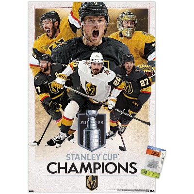 clear push pins bundle