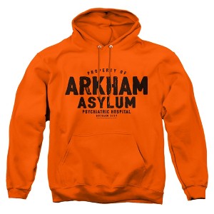 Batman Arkham Asylum Adult Pull-Over Hoodie - 1 of 4