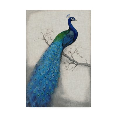 Blue and Gray Framed Peacock Canvas Print