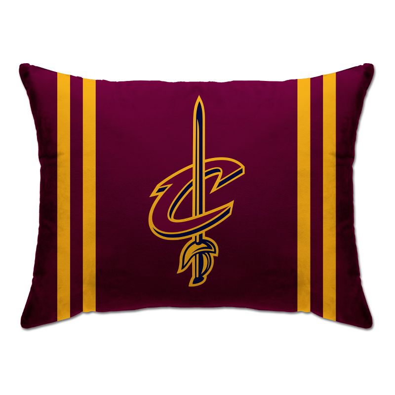 NBA Pegasus Sports Bed Pillow, 1 of 3
