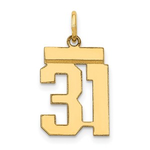 Black Bow Jewelry 14k Yellow Gold, Athletic Collection, Small Polished Number 31 Pendant - 1 of 4