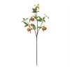Orange Fruit Foliage Branch (Set of 6) - 3 of 4