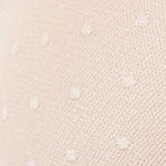 cameo rose