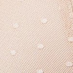 cameo rose