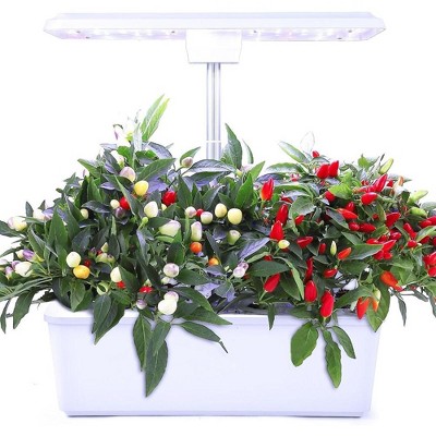 Hydroponics Growing System 12 Pods With 2 Planting Modes & 100 LEDs in 5 Colors