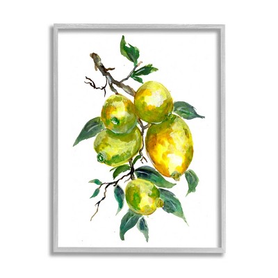 Stupell Industries Lemon Citrus Fruit Tree Framed Giclee Art