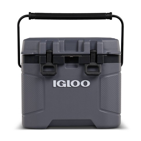 Igloo Refreezable Ice Block 2pk - Small : Target