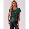 Allegra K Women's Sequin Short Sleeve V Neck Party Sparkly Metallic Top - 4 of 4