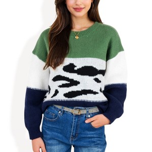 Anna-Kaci Women's Animal Print Color Block Sweater - 1 of 4