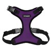 Voyager Step-In Lock Adjustable Dog & Cat Harness and 5ft Leash Combo - 2 of 4