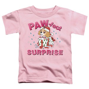 Toddler Boys' Paw Patrol The Paw-Fect Christmas Gift Skye T-Shirt - 1 of 4